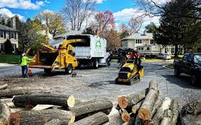 Leaf Removal in Ninnekah, OK