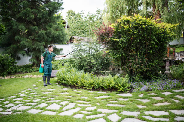 Best Artificial Turf Installation  in Ninnekah, OK