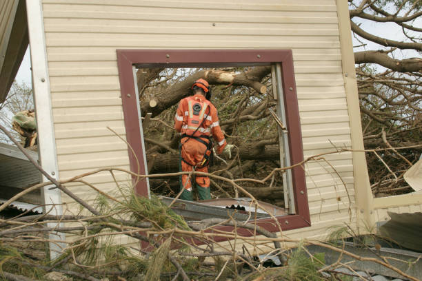 Best Tree and Shrub Care  in Ninnekah, OK