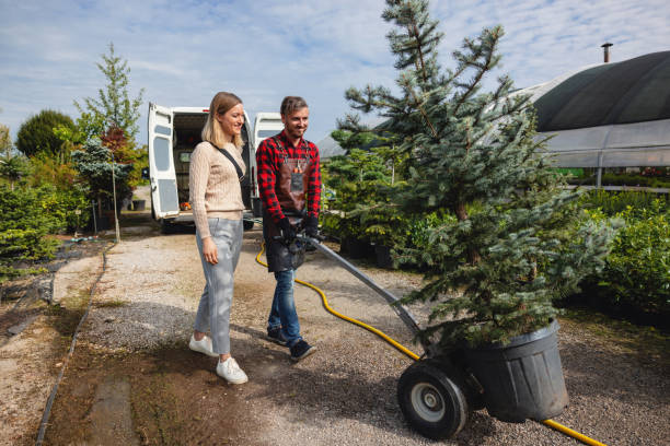 Best Pest Control for Lawns  in Ninnekah, OK