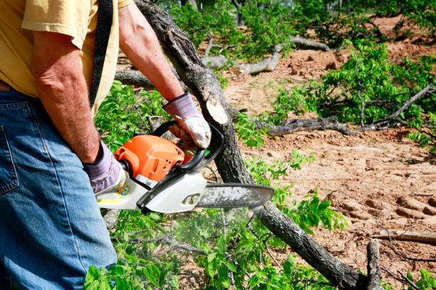 Best Lawn Irrigation Installation and Maintenance  in Ninnekah, OK